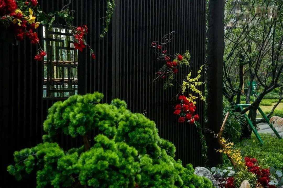 实景图