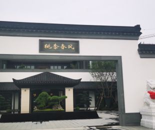 效果图