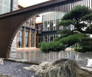 实景图