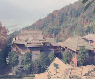 实景图