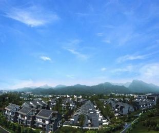 实景图