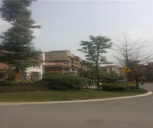 样板图