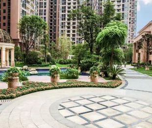 实景图
