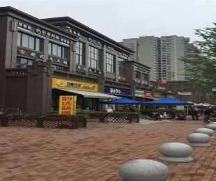 样板图