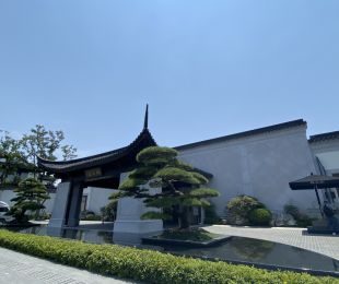 实景图