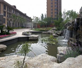 实景图