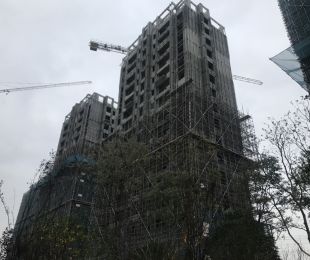 样板图