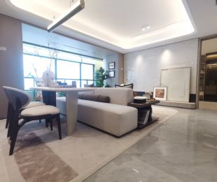 样板图