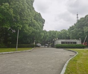 实景图