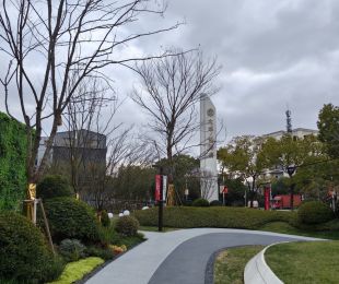 实景图