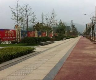 实景图