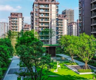 实景图