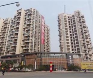实景图