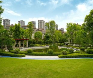 实景图