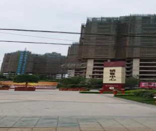 实景图