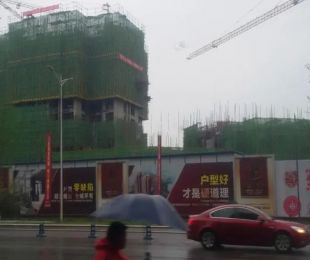实景图