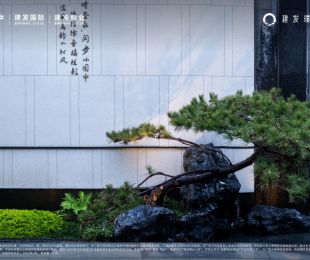 样板图