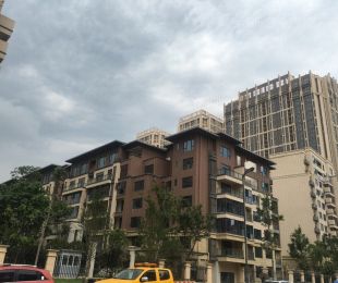 实景图