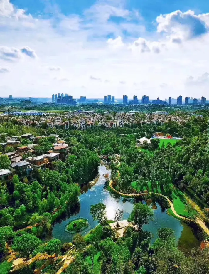 实景图