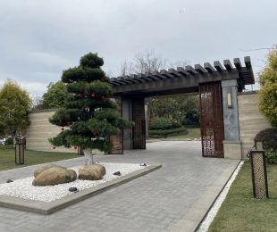 效果图