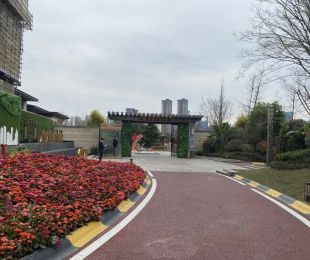 实景图