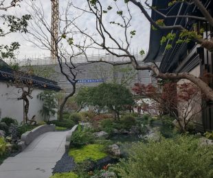 实景图