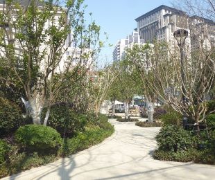 实景图