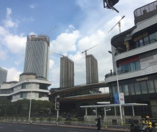 实景图