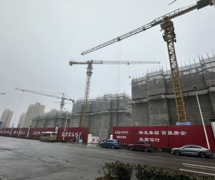 样板图