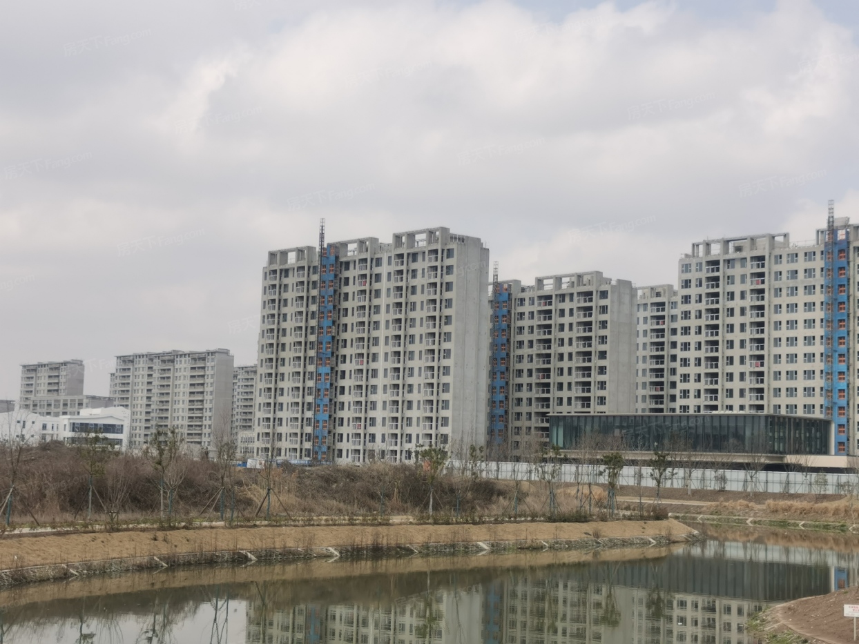 实景图