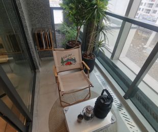 样板图