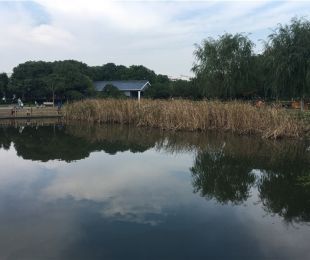 配套图