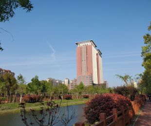 实景图