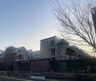 样板图