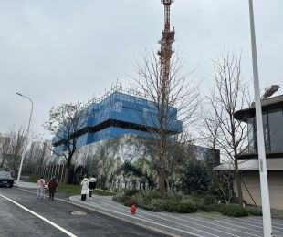 实景图