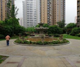 实景图