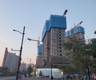 实景图