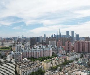 实景图