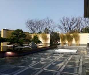 实景图