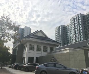 实景图