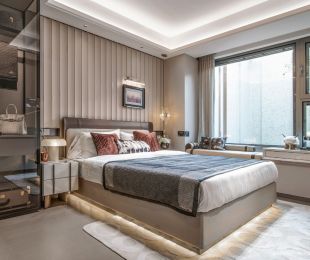 样板图