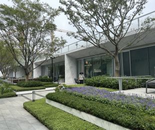 样板图