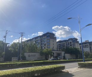 实景图