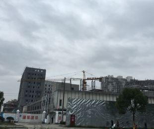 实景图