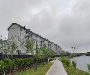 样板图