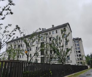实景图