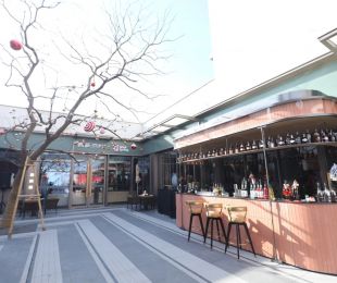 实景图