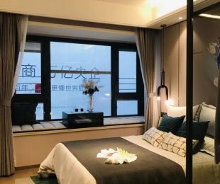 样板图
