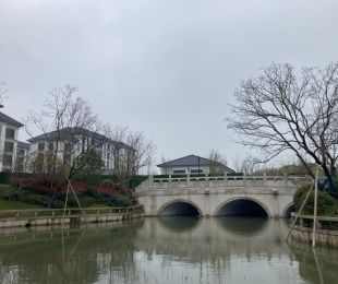 样板图