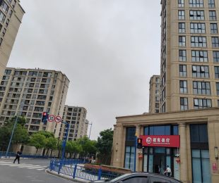 样板图